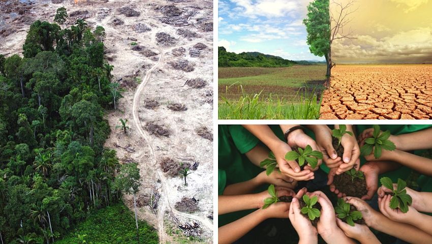 Debemos parar la destrucción de la naturaleza