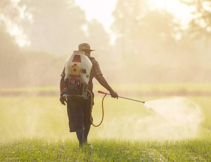 Pesticidas y riesgo de padecer cáncer