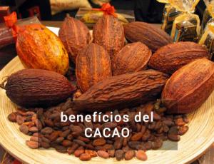 El cacao, cáncer, alzheimer y fatiga crónica