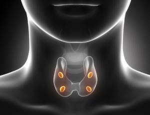 Tiroides: más allá de un problema de peso