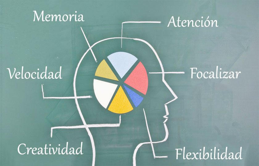 La evolución de Neurocoaching y Neurociencia y sus múltiples ámbitos de actuación