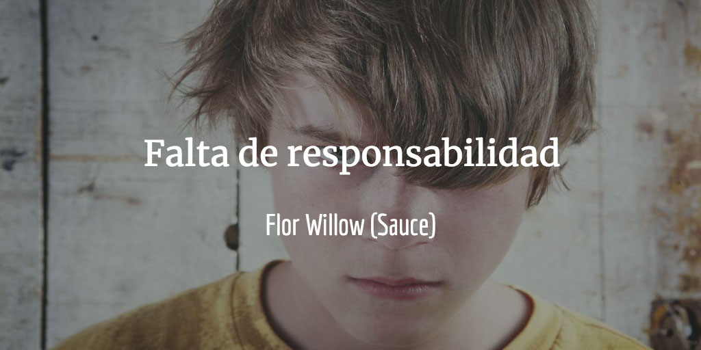 Falta de responsabilidad del adolescente - flor willow (sauce)