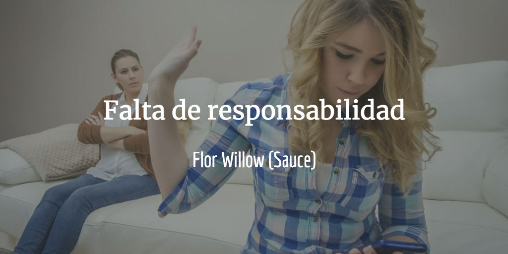 Falta de responsabilidad del adolescente - willow