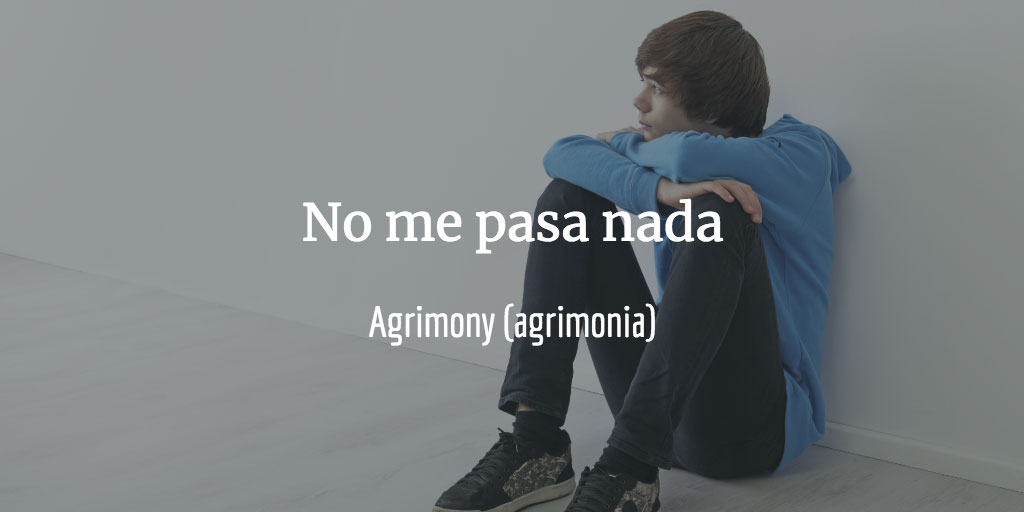 El estado de no pasa nada en el adolescente - agrimony