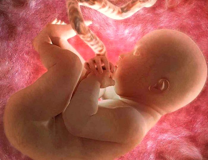 ¿Qué efectos tienen los estímulos prenatales?