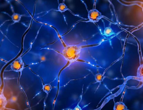 Eneagramas y el impacto en la vida cuotidiana