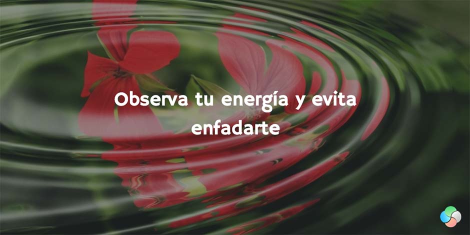 12 consejos del Feng Shui para alejar las malas energías de casa: observa tu energía