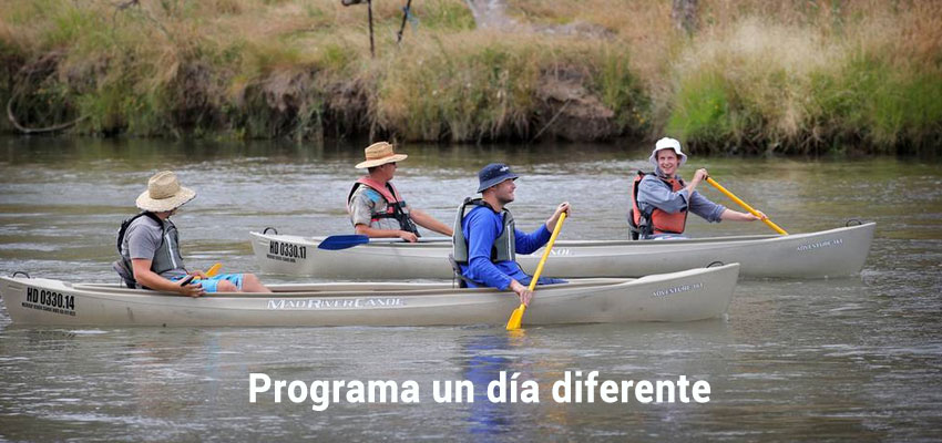 Programa un día diferente - paso 10