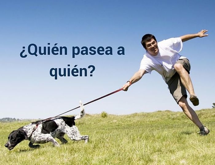 ¿Quién pasea a quién?