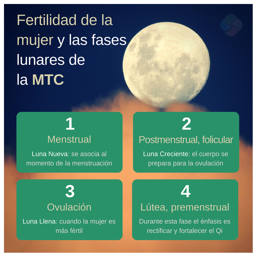 La fertilidad de la mujer en la MTC y las fases lunares