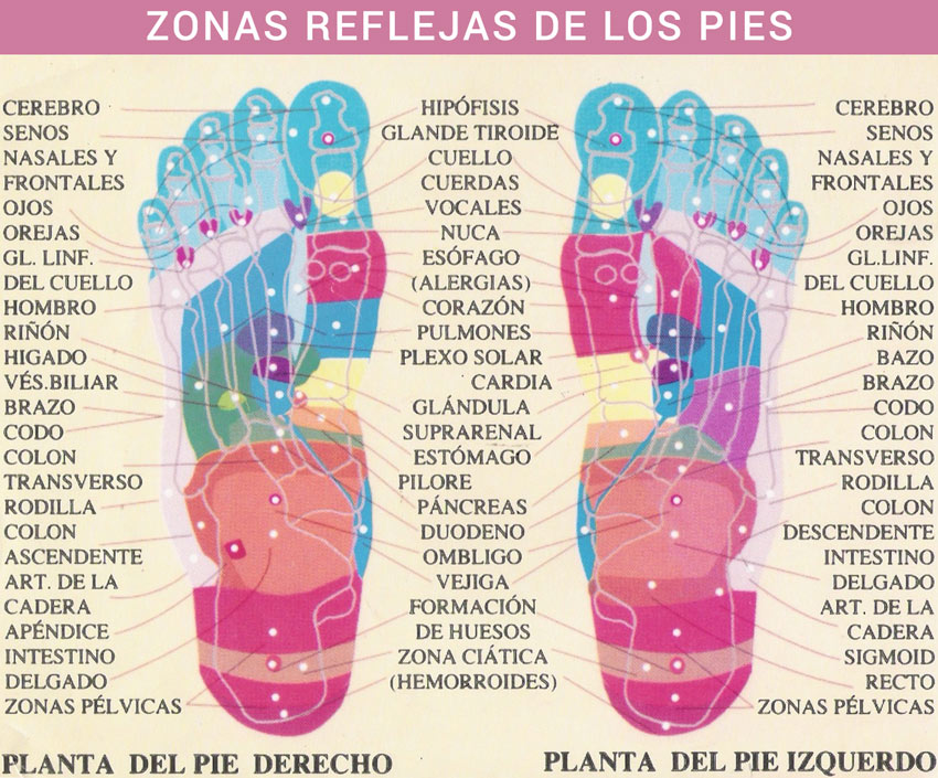 Zonas reflejas de los pies