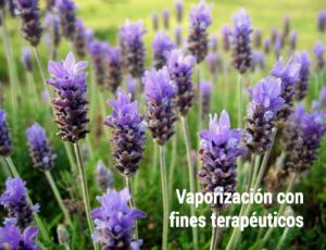 La vaporización con fines terapéuticos