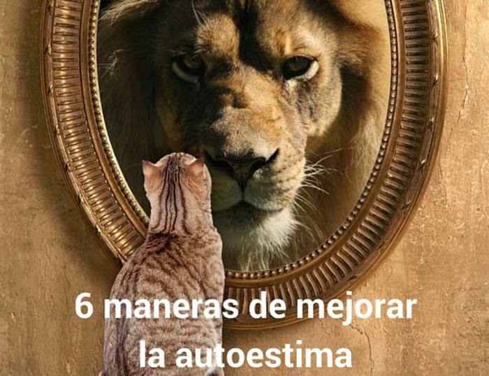 6 maneras de ver al león en el espejo