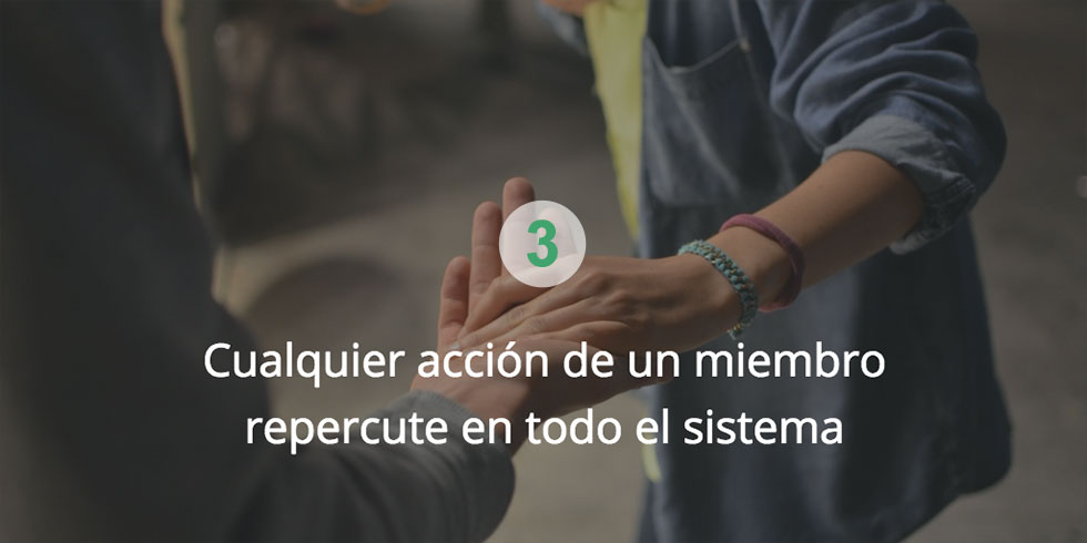 Coaching sistémico: acción de un miembro repercute en todo el sistema
