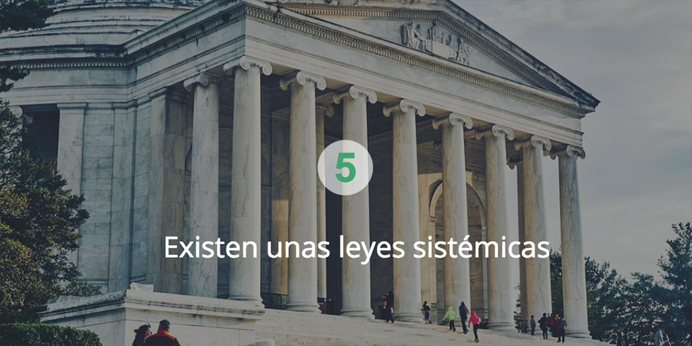 Coaching sistémico: existen unas leyes sistémicas