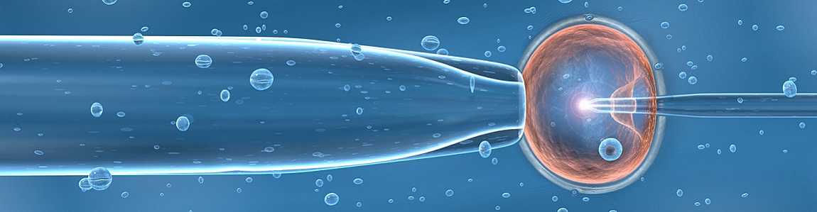 Fecundación in vitro (FIV) y cardiología