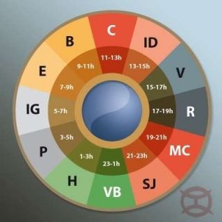 El Reloj de energía de Acupuntura