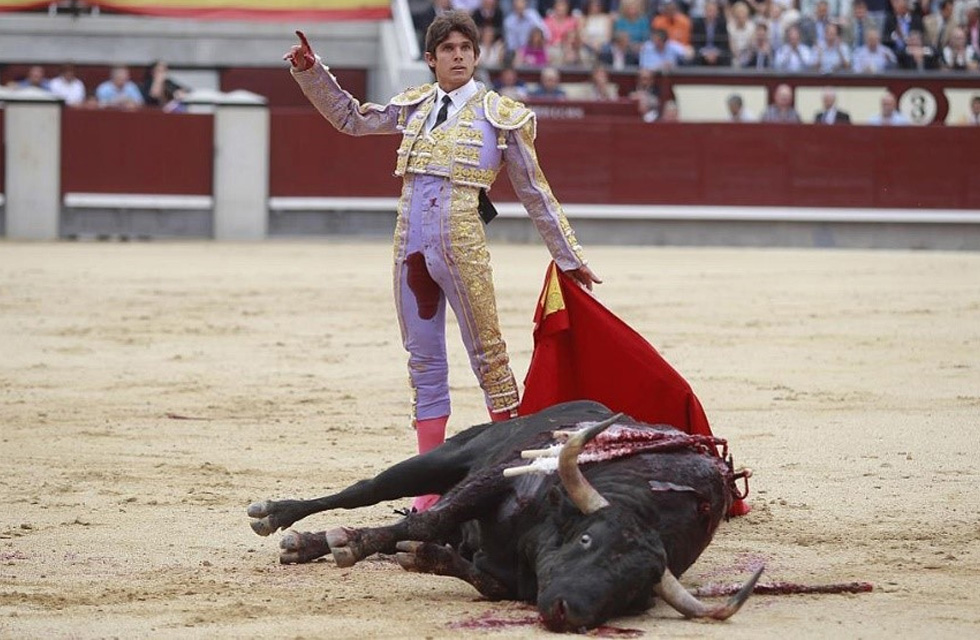 La tortura y asesinato en público de un animal como el toro sigue siendo reivindicado por una parte de la sociedad