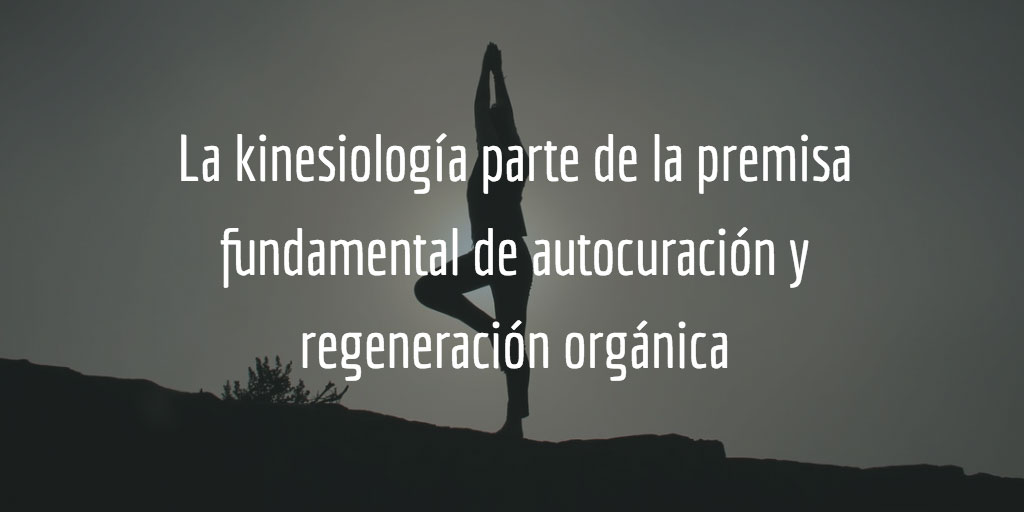 Premisa fundamental de la kinesiología