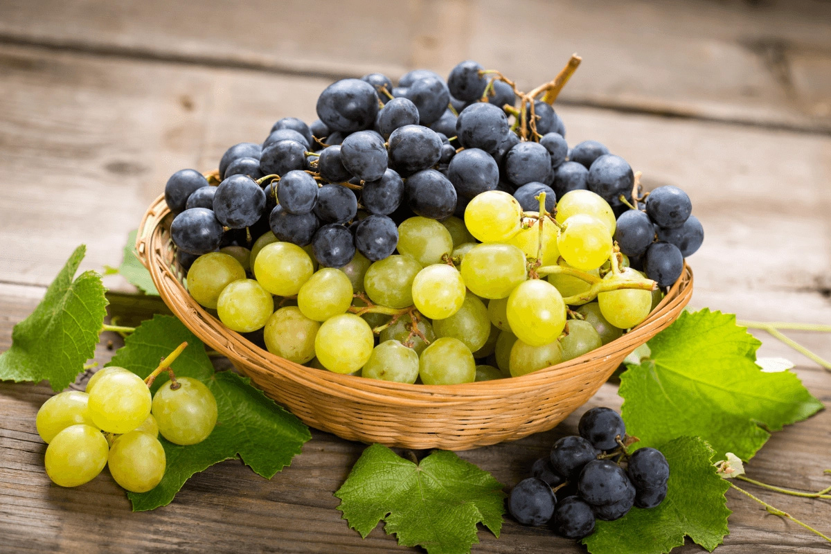 Beneficios del aceite de pepita de uva