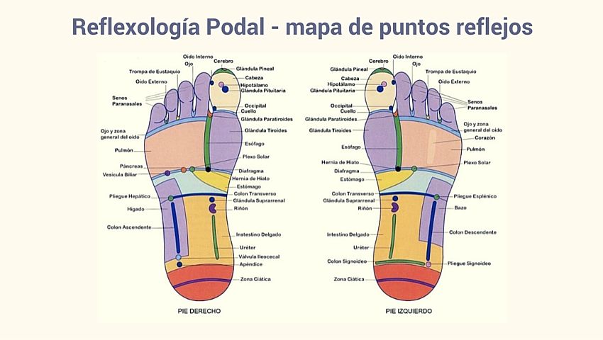 Alma q contraindicaciones