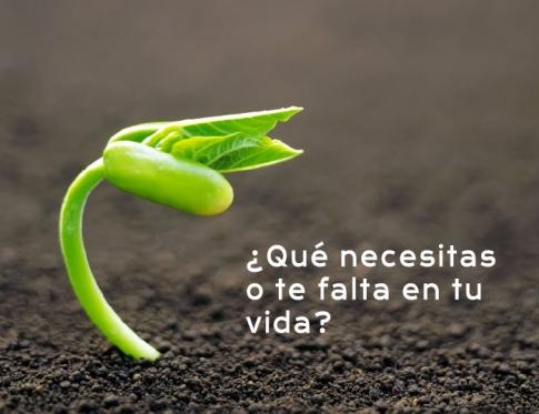 Los benefícios del coaching