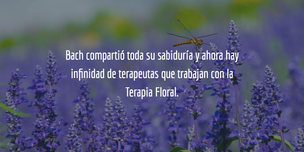 Bach compartió toda su sabiduría y ahora hay infinidad de terapeutas que trabajan con la Terapia Floral. Entre ellos tenemos a muchos psicólogos y médicos que lo que hacen es complementar sus tratamientos con las esencias florales.