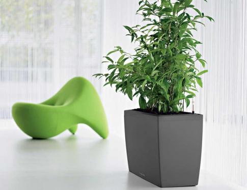 La terapia ambiental. La influencia del hábitat en nuestras vidas