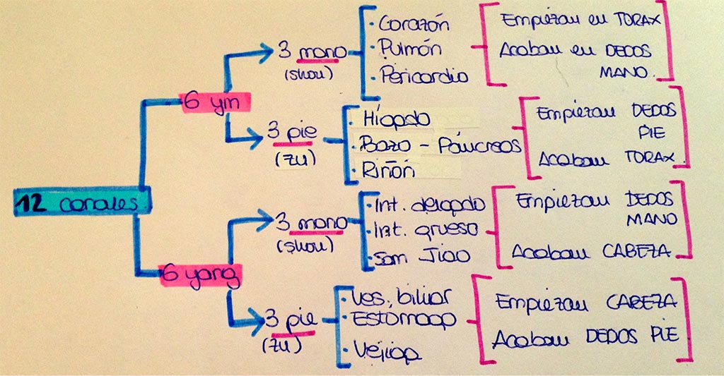 Puntos meridianos acupuntura