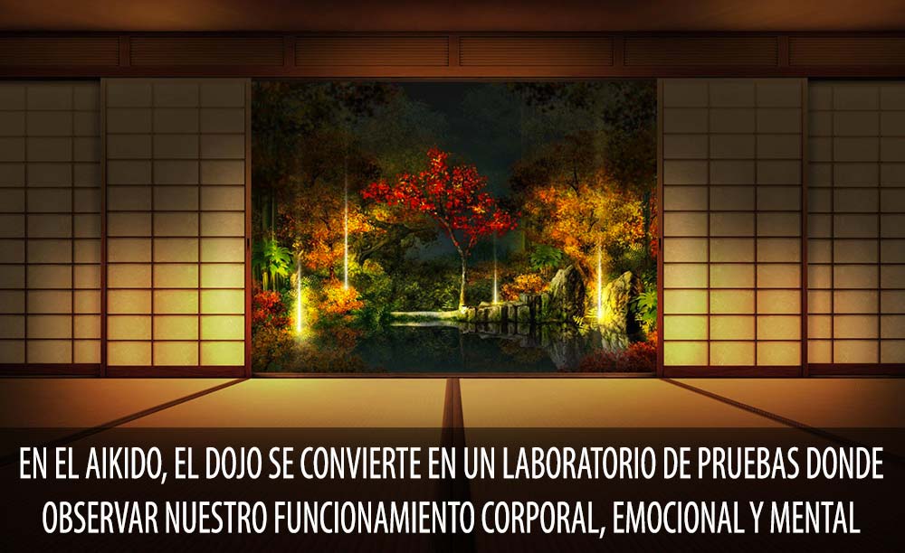 Dojo, el laboratorio de pruebas del Aikido