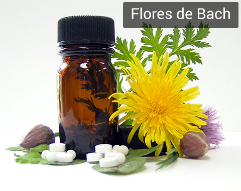 Definición de flores de bach