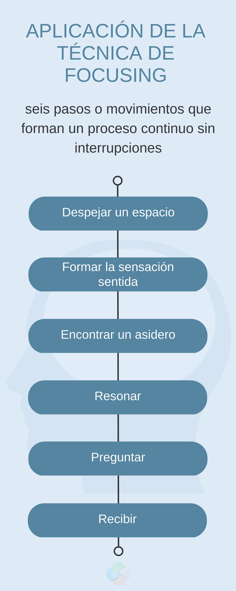 Los 6 pasos para la aplicación de la técnica de focusing