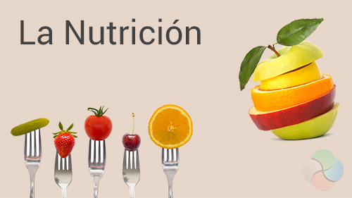 Definiendo la Nutrición