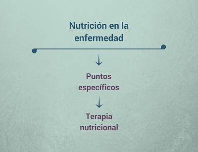 En qué consiste la terapia nutricional