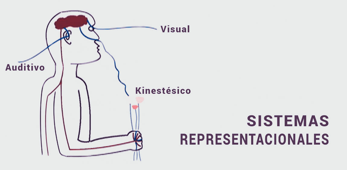 Sistemas representacionales en la PNL