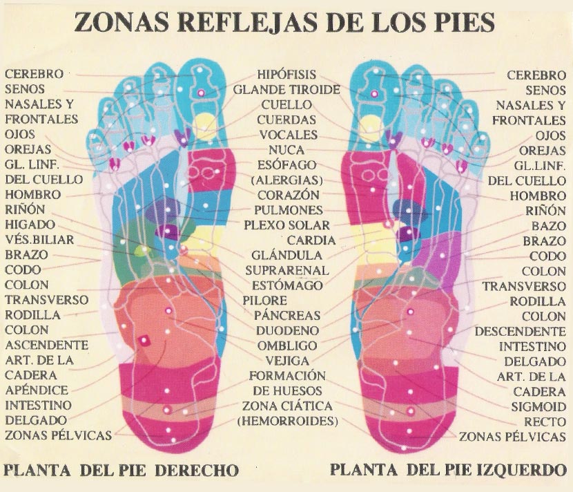 Mapa de los puntos reflejos de los pies
