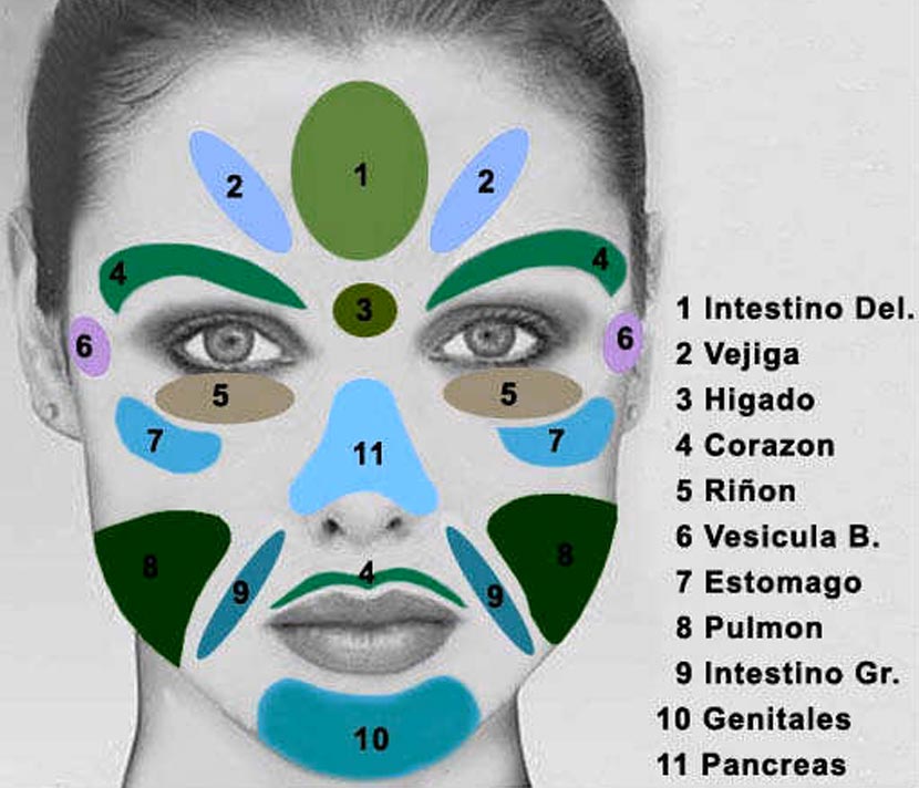 mapa de los puntos reflejos de la cara - reflexología facial