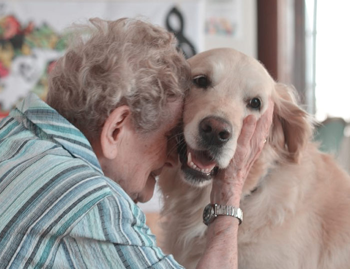 Terapia Asistida con Animales