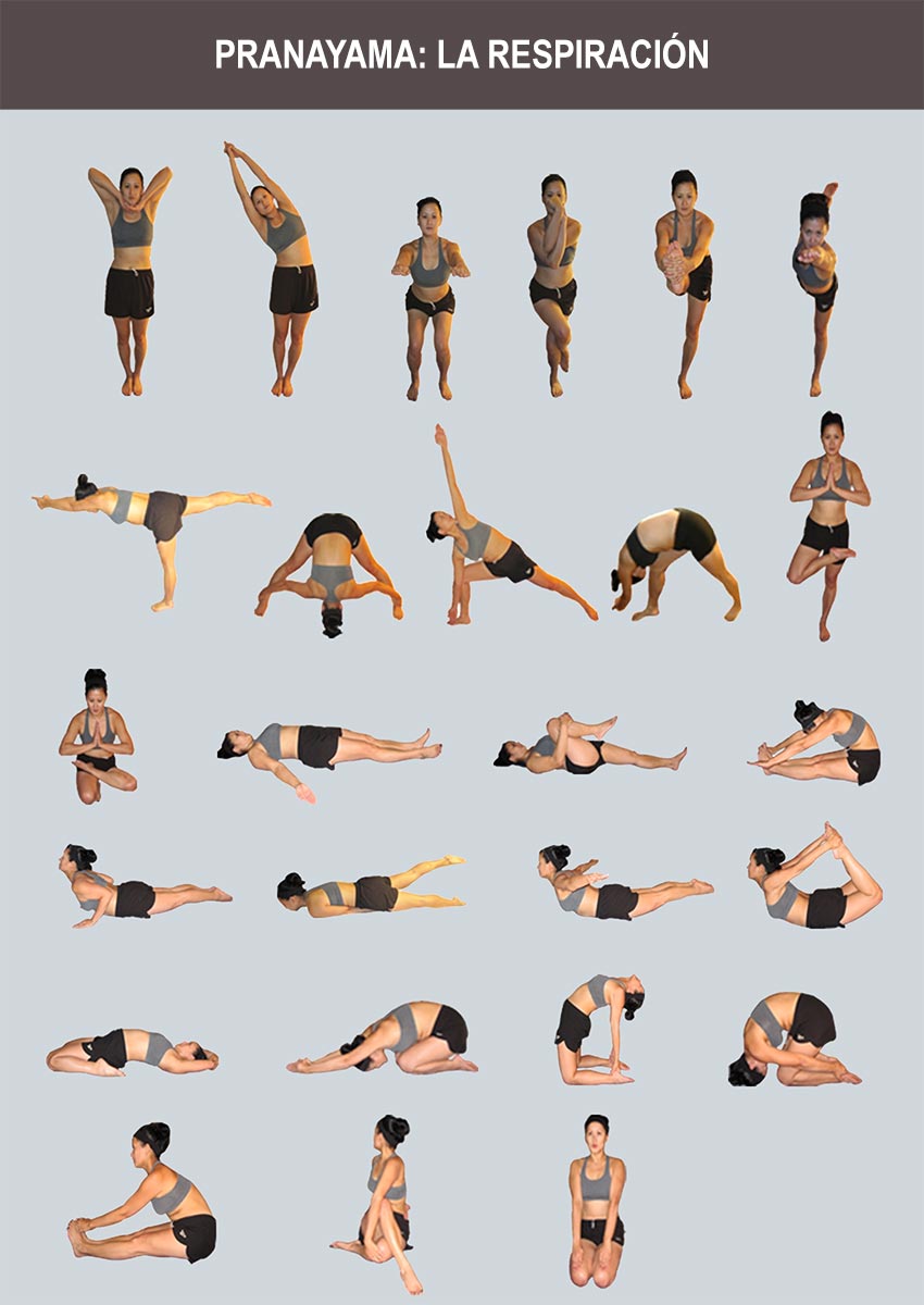 Ejercicios de Pranayama Yoga (respiración)