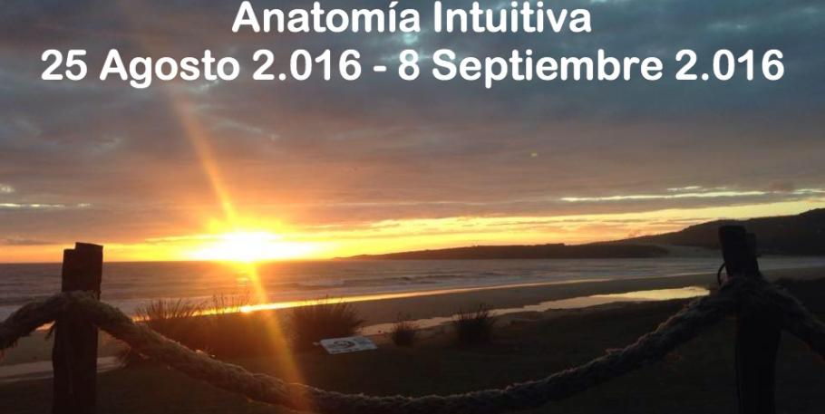 Curso thetahealing: anatomía intuitiva