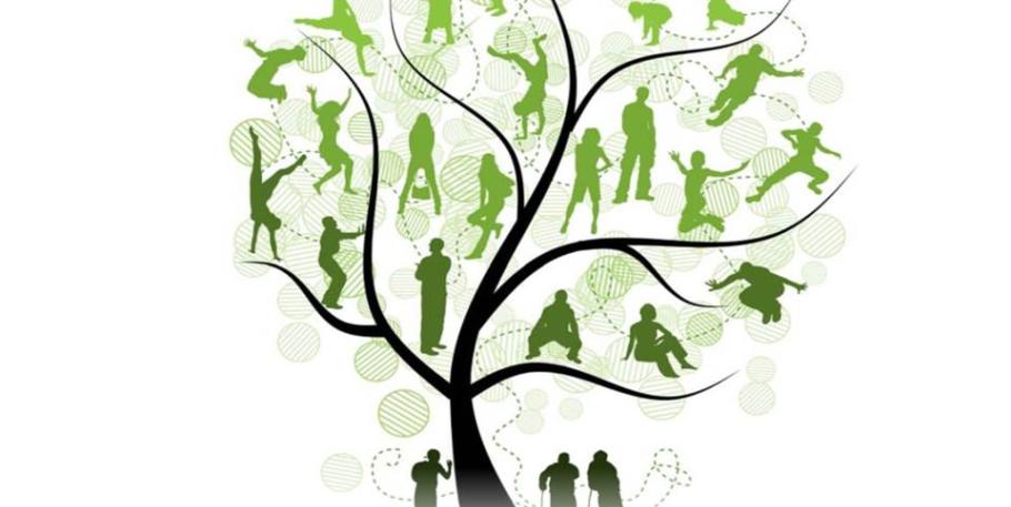 Taller de Constelaciones Familiares