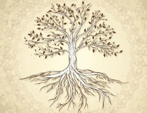 Taller: El Árbol de la Vida, Cábala
