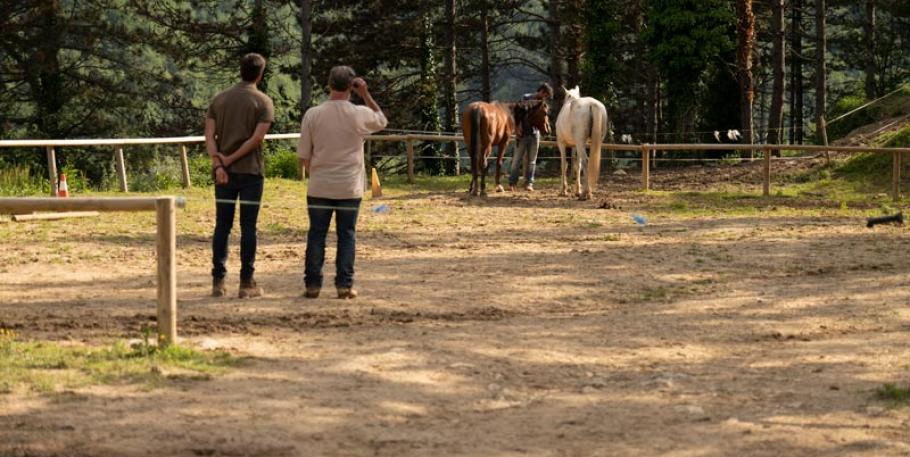 Taller residencial de Inteligencia Emocional con caballos