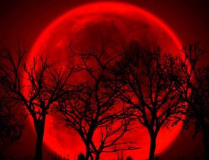 Taller: Luna roja de Miranda Gray