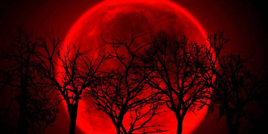 Taller: Luna roja de Miranda Gray