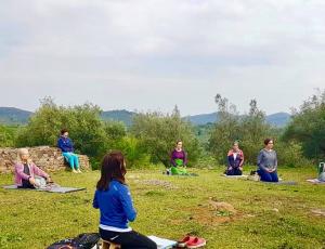 MSC, Programa de Entrenamiento en Mindfulness y Compasión