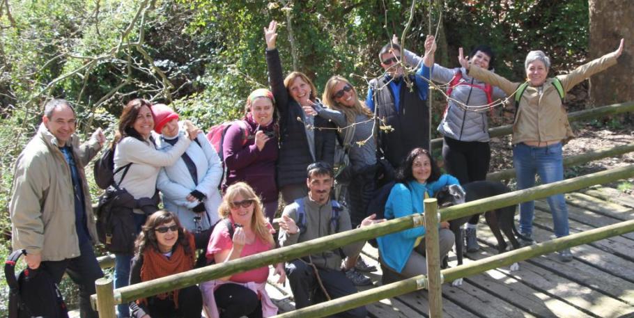 Baños de bosque para reducir el estrés