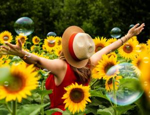 Un curso de felicidad