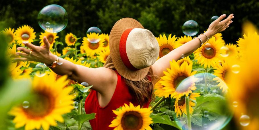 Un curso de felicidad