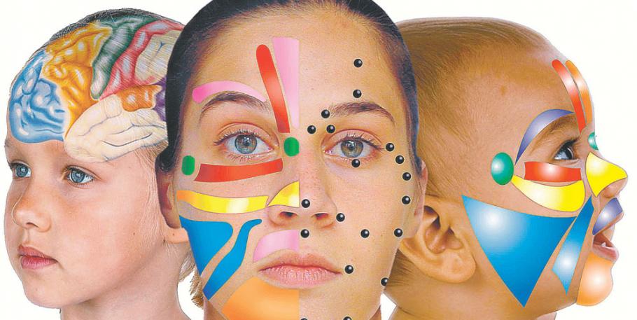 Curso de reflexología facial